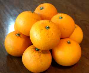 甘夏ミカン