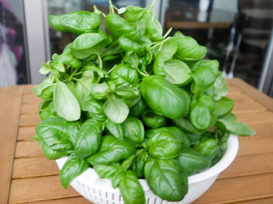 ジェノベーゼのレシピ　フレッシュ・バジルを使ったバジルソース・パスタのレシピ