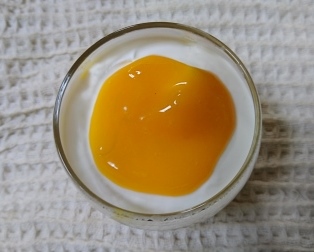 手作りマンゴープリン