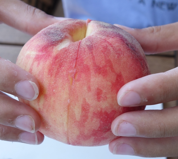 桃の剥き方切り方