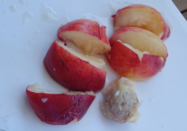 桃の剥き方切り方