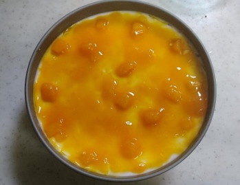 手作りレアチーズケーキ（マンゴーソース）