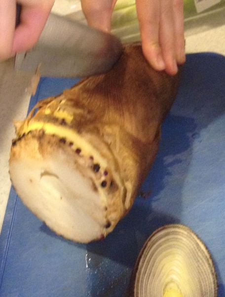 タケノコの茹で方・あくの抜き方