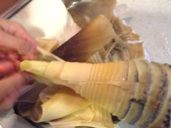 タケノコの茹で方・あくの抜き方